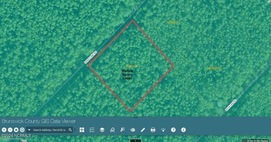 Double lot waiting for an investor. Located in a green RCW zone - photo 1