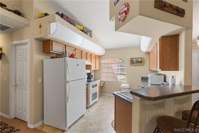 Congratulations, you have found one of the more stellar homes in - photo 18