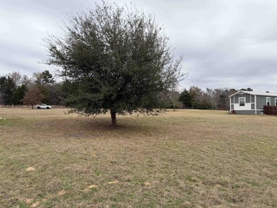 Lake Palestine Lot For Sale in Bullard Texas