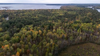 Build your dream home or cabin on this beautiful .6 acre wooded - photo 2