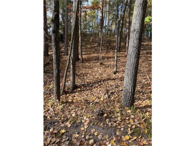 Build your dream home or cabin on this beautiful .6 acre wooded - photo 3
