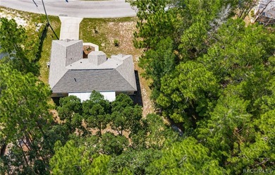Congratulations, you have found one of the more stellar homes in - photo 35