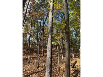 Build your dream home or cabin on this beautiful .6 acre wooded - photo 5