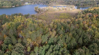 Build your dream home or cabin on this beautiful .6 acre wooded - photo 6