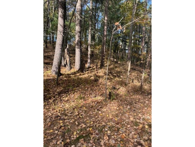 Build your dream home or cabin on this beautiful .6 acre wooded - photo 7