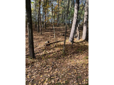 Build your dream home or cabin on this beautiful .6 acre wooded - photo 8