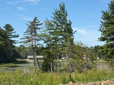 (private lake, pond, coastal) Acreage For Sale in Johnstown New York