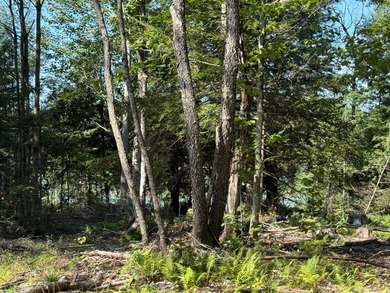 This versatile 16.8-acre property offers a rare combination of - photo 2
