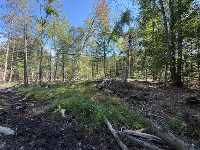 This versatile 16.8-acre property offers a rare combination of - photo 3