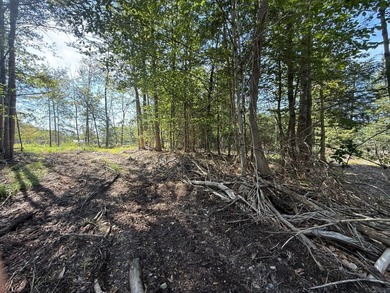 This versatile 16.8-acre property offers a rare combination of - photo 4