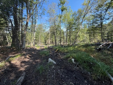This versatile 16.8-acre property offers a rare combination of - photo 5