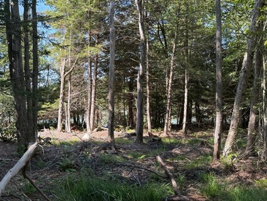 This versatile 16.8-acre property offers a rare combination of - photo 7