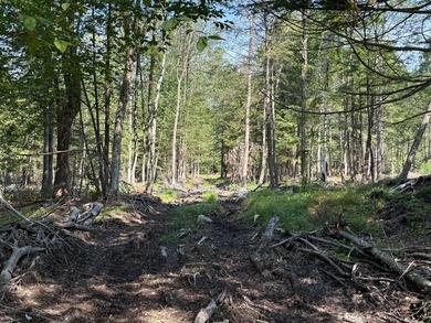 This versatile 16.8-acre property offers a rare combination of - photo 9