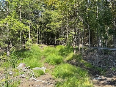 This versatile 16.8-acre property offers a rare combination of - photo 10