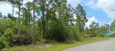 Lehigh Acres Area Lot For Sale in Lehigh Acres Florida