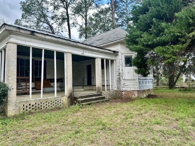 Lake Blackshear Home For Sale in Warwick Georgia