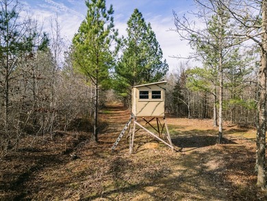 This property is back on the market from 2025 with a significant - photo 2