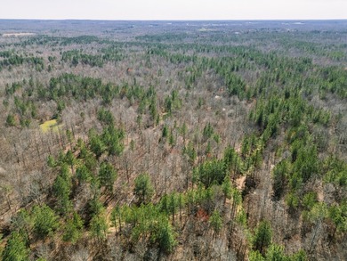 This property is back on the market from 2025 with a significant - photo 8