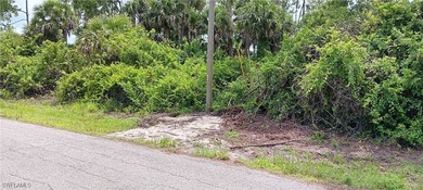 Lehigh Acres Area Lot For Sale in Lehigh Acres Florida
