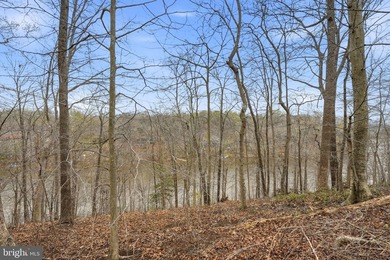 Welcome to Ballantrae Estates. Nestled on 5 scenic acres, this - photo 31
