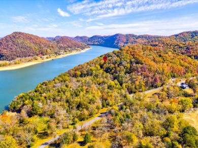1 Acre Building Lot in Cherokee Lake Subdivision - Lake Lot For Sale in Whitesburg, Tennessee