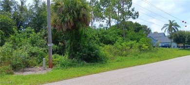 Lehigh Acres Area Lot For Sale in Lehigh Acres Florida