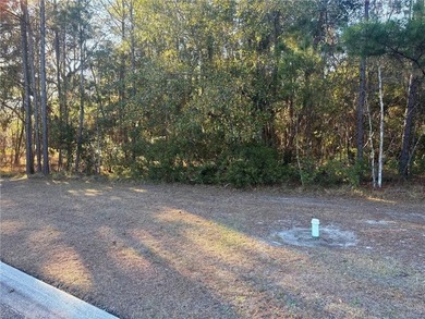 Build your coastal retreat on this 0.32-acre homesite located at - photo 2