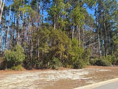 Build your coastal home on this 0.42-acre homesite located at 0 - photo 2