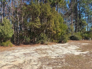 Build your coastal home on this 0.42-acre homesite located at 0 - photo 4