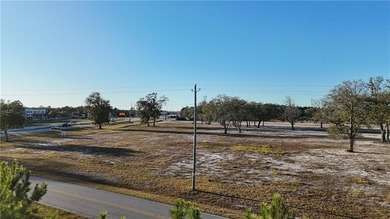 16,000+ AADT | 36+/- Acres on US Hwy 17 | Brunswick's Premier - photo 2