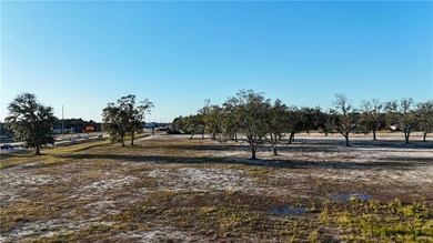 16,000+ AADT | 36+/- Acres on US Hwy 17 | Brunswick's Premier - photo 4