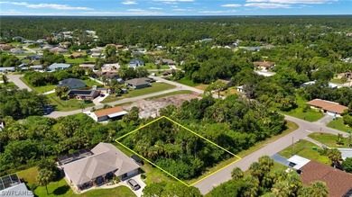 Beautiful lot located in Port Charlotte, Florida and ready for - photo 3