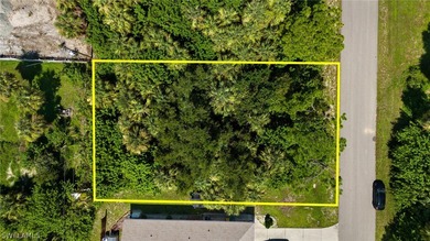 Beautiful lot located in Port Charlotte, Florida and ready for - photo 6