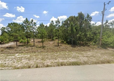 Lehigh Acres Area Lot For Sale in Lehigh Acres Florida