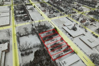 Detroit River Lot For Sale in Detroit Michigan