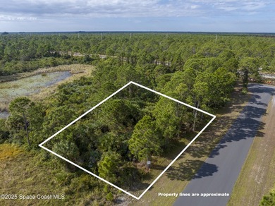 Looking for a nice, vacant, buildable lot? You just found it! - photo 2