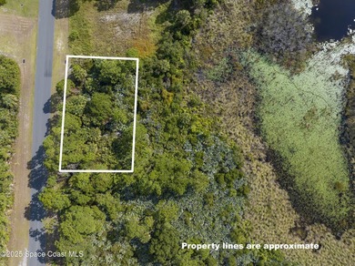 Looking for a nice, vacant, buildable lot? You just found it! - photo 3