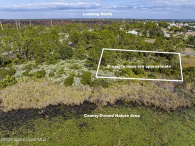 Looking for a nice, vacant, buildable lot? You just found it! - photo 4