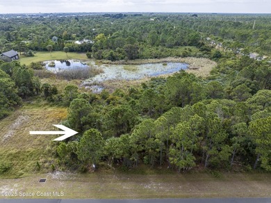 Looking for a nice, vacant, buildable lot? You just found it! - photo 6