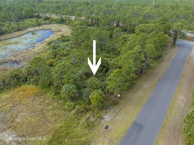 Looking for a nice, vacant, buildable lot? You just found it! - photo 8