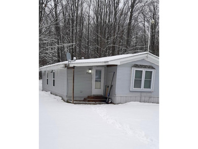 Lake Home For Sale in Mancelona, Michigan