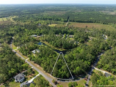 Discover an incredible opportunity to build your dream home on - photo 1