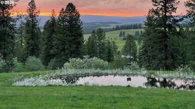 Here is your opportunity to own a breathtaking piece of - photo 3