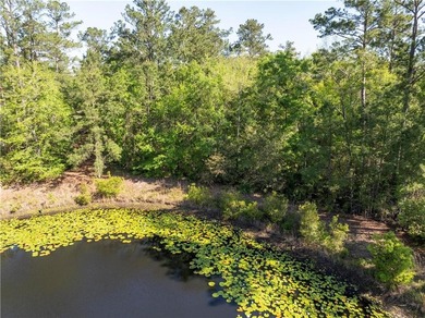 Discover an incredible opportunity to build your dream home on - photo 4