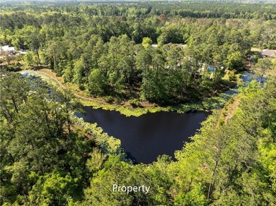 Discover an incredible opportunity to build your dream home on - photo 8