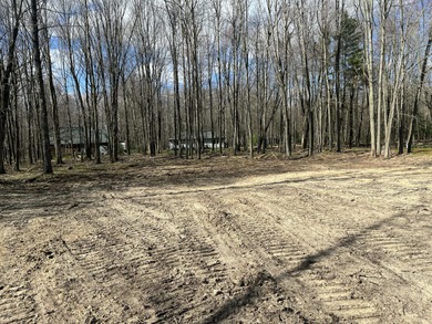 Lake Lot For Sale in Stanwood, Michigan