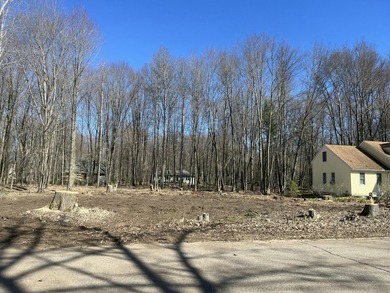 Great Lot right across the street from Lake Laura. and Greenwood