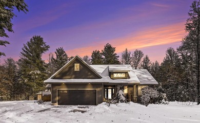 Lake Home For Sale in Gowen, Michigan