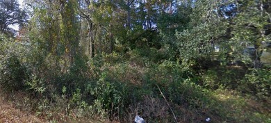 North Lake - Marion County Lot For Sale in Silver Springs Florida