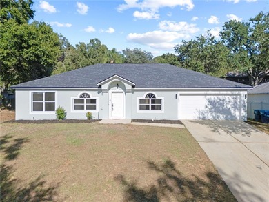 Plum Lake  Home For Sale in Minneola Florida